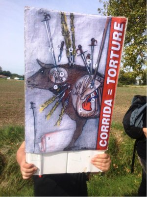  
Affiche anatomique (utilisée lors d'une manifestation anti-corrida) indiquant les sévices infligés au taureau, via les divers « instruments » utilisés à cet effet :- N° 1 - La pique est l’arme du « picador ». Constituée d'une hampe en bois de 2,60 m de long environ et de 4 cm de diamètre, terminée par une pointe d'acier de 2,9 cm de long et d'une largeur de 2 cm. La garde transversale en acier empêche de pénétrer trop profondément dans le corps de l’animal. Sur l'affiche, la hampe (marquée du numéro 1) est mal placée (au niveau des poumons et du cœur), son impact est situé en réalité au même niveau que les banderilles (marquées du n° 2) dans la zone cervicale- N° 2 - Les banderilles sont des bâtons terminés par un harpon, que le « matador » ou ses « peones » posent de part et d'autre de la proéminence du cou, au rythme de trois paires successives de banderilles par taureau- N° 4 - L'estocade (épée qui tente la première mise à mort au niveau du dos et de la cage thoracique, cherchant à atteindre le cœur de l'animal mais lui transperçant souvent les poumons à la place- N° 5 - Le « verdugo » (seconde épée de mise à mort) se trouve sur le schéma au niveau du cou- N° 6 - La « puntilla » (ancien poignard de boucher) se « plante » au même endroit que le verdugo en tout dernier recours si le taureau est toujours vivant…